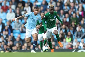 Premier League Showdown: Manchester City vs. Brighton and Hove Albion at Etihad Stadium (29SEP18)