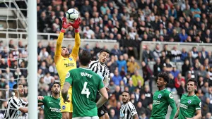 Premier League Showdown: Newcastle United vs. Brighton and Hove Albion at St. James Park (20Oct18)