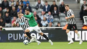 Premier League Showdown: Newcastle United vs. Brighton and Hove Albion at St. James Park (20th October 2018)