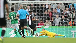Premier League Showdown: Newcastle United vs. Brighton and Hove Albion at St. James Park (21SEP19)