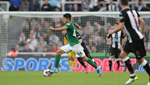 Premier League Showdown: Newcastle United vs. Brighton and Hove Albion at St. James Park (21SEP19)
