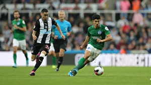 Premier League Showdown: Newcastle United vs. Brighton and Hove Albion at St. James Park (21SEP19)