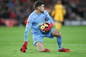 Premier League Showdown: Southampton vs. Brighton and Hove Albion at St. Mary's Stadium (31JAN18)