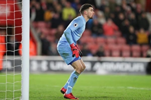 Premier League Showdown: Southampton vs. Brighton and Hove Albion at St. Mary's Stadium (31Jan18)