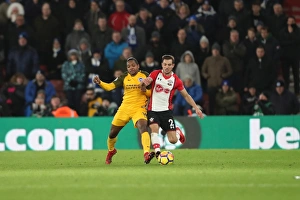Premier League Showdown: Southampton vs. Brighton and Hove Albion at St. Mary's Stadium (31JAN18)