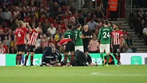 Premier League Showdown: Southampton vs. Brighton & Hove Albion at St. Mary's Stadium (17SEP18)