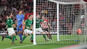 Premier League Showdown: Southampton vs. Brighton & Hove Albion at St. Mary's Stadium (17SEP18)