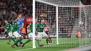 Premier League Showdown: Southampton vs. Brighton & Hove Albion at St. Mary's Stadium (17SEP18)