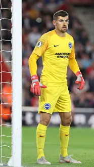 Premier League Showdown: Southampton vs. Brighton & Hove Albion at St. Mary's (17SEP18)