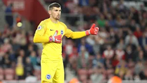 Premier League Showdown: Southampton vs. Brighton & Hove Albion at St. Mary's (17SEP18)
