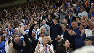 Premier League Showdown: Southampton vs. Brighton & Hove Albion at St. Mary's (17SEP18)