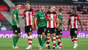 Premier League Showdown: Southampton vs. Brighton & Hove Albion at St. Mary's Stadium (16JUL20)