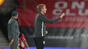 Premier League Showdown: Southampton vs. Brighton & Hove Albion at St. Mary's Stadium (16JUL20)