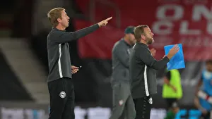 Premier League Showdown: Southampton vs. Brighton and Hove Albion at St Mary's Stadium (16JUL20)