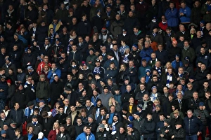 Premier League Showdown: Stoke City vs. Brighton and Hove Albion (10FEB18)