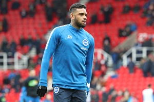 Premier League Showdown: Stoke City vs. Brighton and Hove Albion (10FEB18)