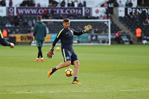 Premier League Showdown: Swansea City vs. Brighton and Hove Albion (04NOV17)