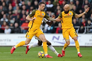 Premier League Showdown: Swansea City vs. Brighton and Hove Albion (04NOV17)