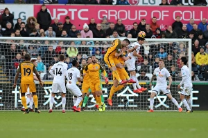 Premier League Showdown: Swansea City vs. Brighton and Hove Albion at Liberty Stadium (Nov. 4, 2017)