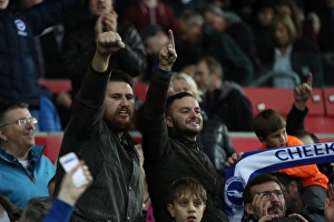 Premier League Showdown: Swansea City vs. Brighton and Hove Albion at Liberty Stadium (Nov. 4, 2017)