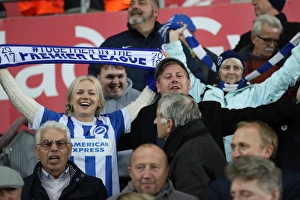 Premier League Showdown: Swansea City vs. Brighton and Hove Albion (04NOV17)