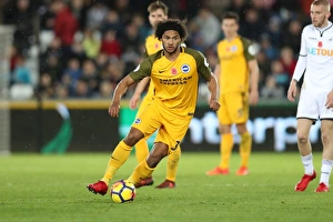 Premier League Showdown: Swansea City vs. Brighton and Hove Albion at Liberty Stadium (Nov. 4, 2017)