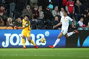 Premier League Showdown: Swansea City vs. Brighton and Hove Albion at Liberty Stadium (Nov. 4, 2017)