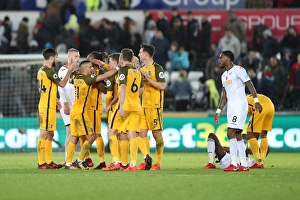 Premier League Showdown: Swansea City vs. Brighton and Hove Albion at Liberty Stadium (Nov. 4, 2017)