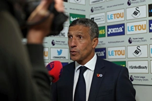 Premier League Showdown: Swansea City vs. Brighton and Hove Albion at Liberty Stadium (Nov. 4, 2017)
