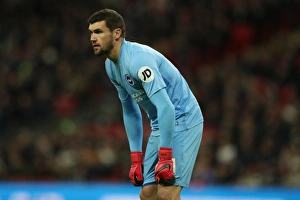 Premier League Showdown: Tottenham Hotspur vs. Brighton and Hove Albion at Wembley Stadium (13DEC17)