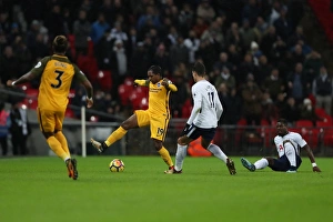 Premier League Showdown: Tottenham Hotspur vs. Brighton and Hove Albion at Wembley Stadium (13DEC17)