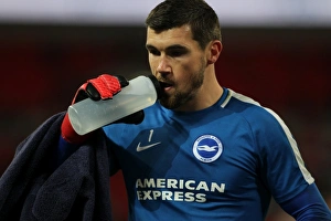 Premier League Showdown: Tottenham Hotspur vs. Brighton and Hove Albion at Wembley Stadium (13DEC17)