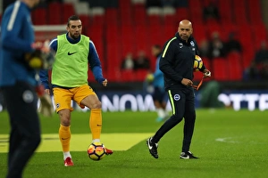 Premier League Showdown: Tottenham Hotspur vs. Brighton and Hove Albion at Wembley Stadium (13DEC17)