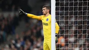 Premier League Showdown: Tottenham Hotspur vs. Brighton and Hove Albion (23APR19)