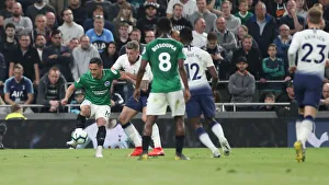 Premier League Showdown: Tottenham Hotspur vs. Brighton and Hove Albion (23APR19)