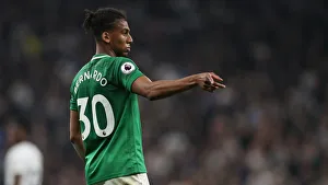Premier League Showdown: Tottenham Hotspur vs. Brighton and Hove Albion (23APR19)