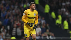 Premier League Showdown: Tottenham Hotspur vs. Brighton and Hove Albion (23APR19)