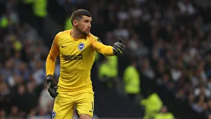 Premier League Showdown: Tottenham Hotspur vs. Brighton and Hove Albion (23APR19)