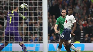 Premier League Showdown: Tottenham Hotspur vs. Brighton and Hove Albion (23APR19)