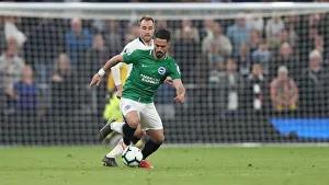 Premier League Showdown: Tottenham Hotspur vs. Brighton and Hove Albion (23APR19)