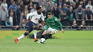 Premier League Showdown: Tottenham Hotspur vs. Brighton and Hove Albion (23APR19)