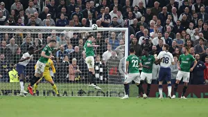 Premier League Showdown: Tottenham Hotspur vs. Brighton and Hove Albion (23APR19)