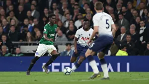 Premier League Showdown: Tottenham Hotspur vs. Brighton and Hove Albion (23APR19)