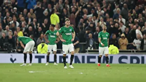 Premier League Showdown: Tottenham Hotspur vs. Brighton and Hove Albion (23APR19)