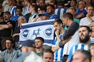 Premier League Showdown: Watford vs. Brighton and Hove Albion (26AUG17)