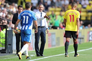 Premier League Showdown: Watford vs. Brighton and Hove Albion (26AUG17)