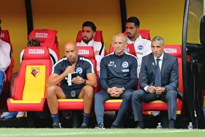 Premier League Showdown: Watford vs. Brighton & Hove Albion at Vicarage Road (11AUG18)