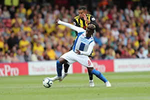 Premier League Showdown: Watford vs. Brighton & Hove Albion at Vicarage Road (11AUG18)