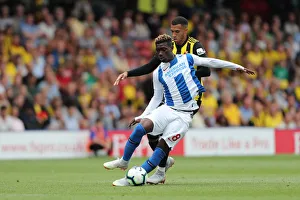 Premier League Showdown: Watford vs. Brighton and Hove Albion at Vicarage Road (11AUG18)