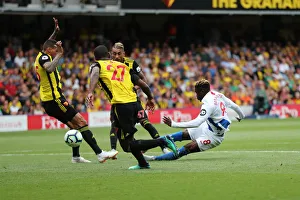 Premier League Showdown: Watford vs. Brighton & Hove Albion at Vicarage Road (11AUG18)